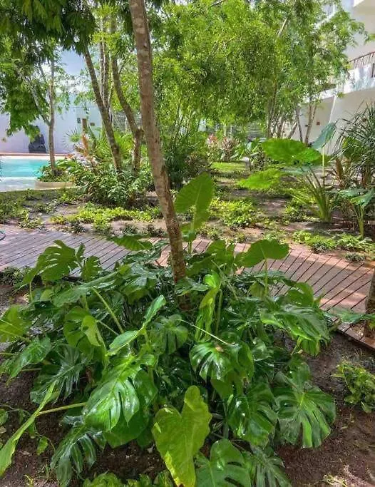 아파트 Dk32 15 Min To Beach Tulum Jungle Suite *Pool *Gym 멕시코