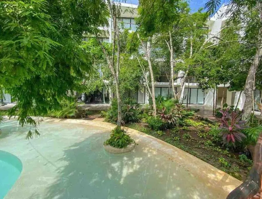 Dk32 15 Min To Beach Tulum Jungle Suite *Pool *Gym 0*,  멕시코